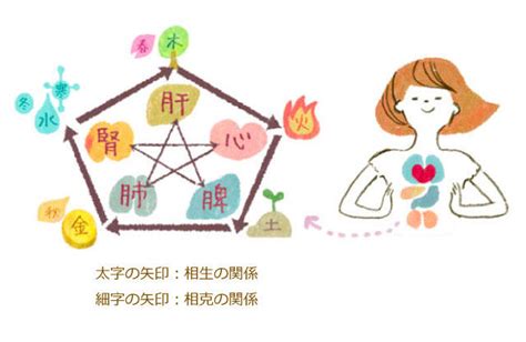 皮膚五行|めざせ！「五行美人」～五行で知る、自分の性質・体。